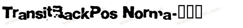 TransitBackPos Norma字体转换